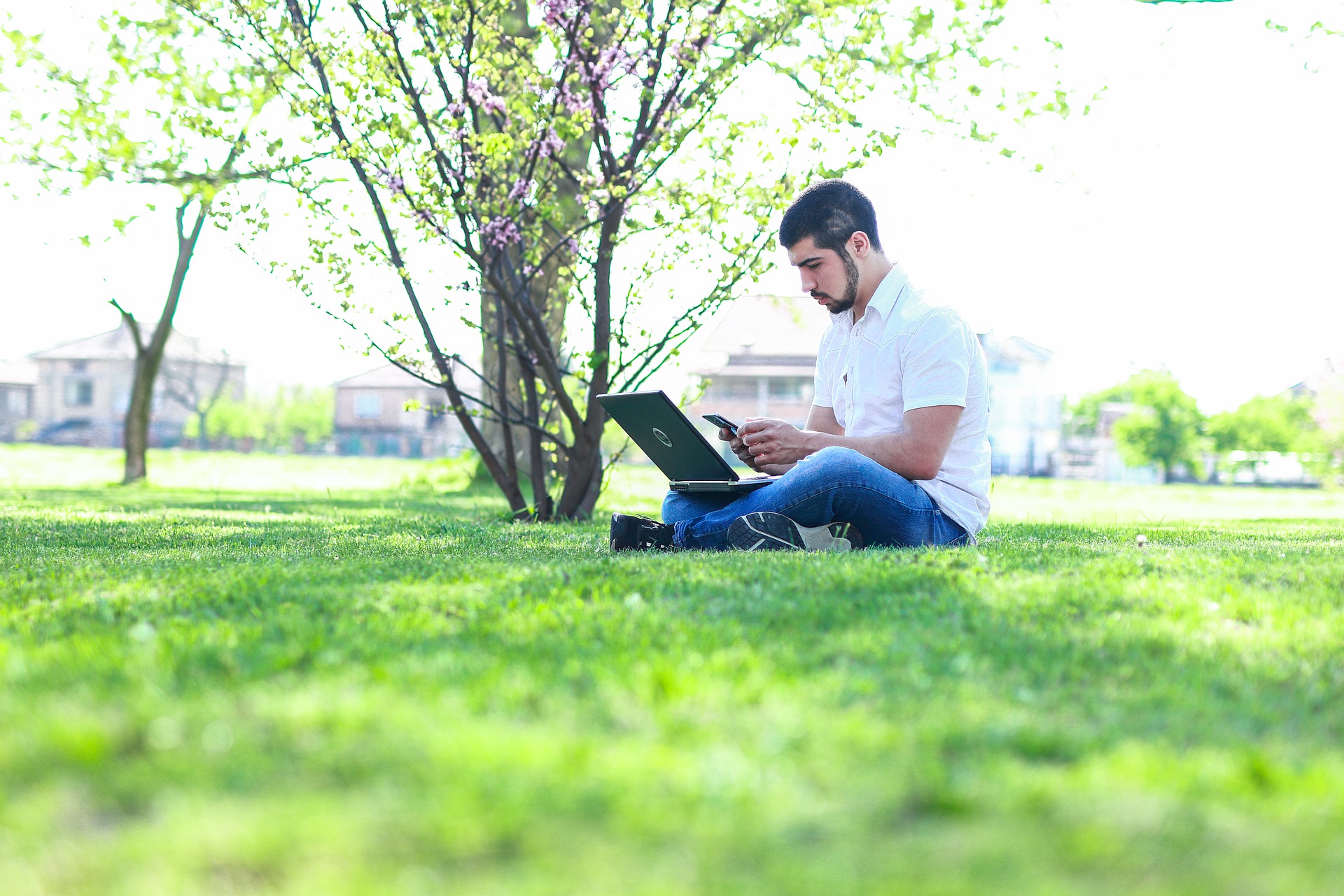 8 populaire programma's voor tuinontwerp